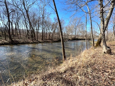River-front recreation, hunting, and timberland for Sale in Thayer, MO., - image 7