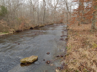 Private 151-Acre Retreat – 40 Lou Johns Ln, Loretto, TN - image 32