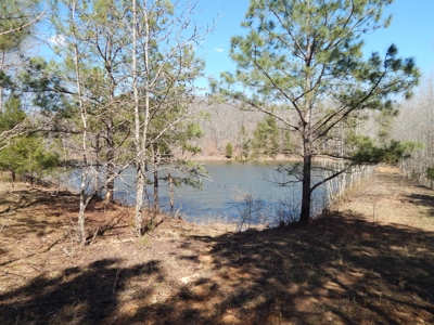 Private 151-Acre Retreat – 40 Lou Johns Ln, Loretto, TN - image 41
