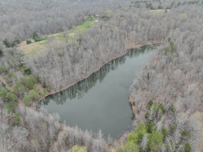 Private 151-Acre Retreat – 40 Lou Johns Ln, Loretto, TN - image 15