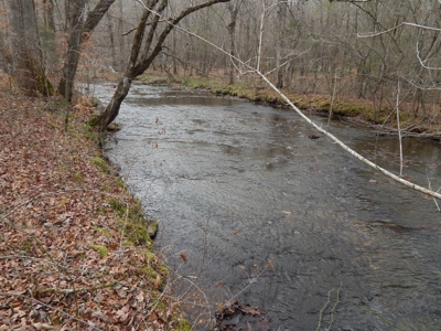 Private 151-Acre Retreat – 40 Lou Johns Ln, Loretto, TN - image 30