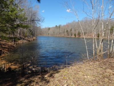 Private 151-Acre Retreat – 40 Lou Johns Ln, Loretto, TN - image 42
