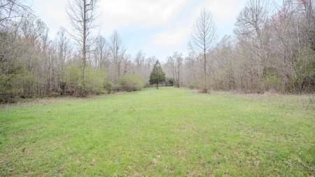 Private 151-Acre Retreat – 40 Lou Johns Ln, Loretto, TN - image 21