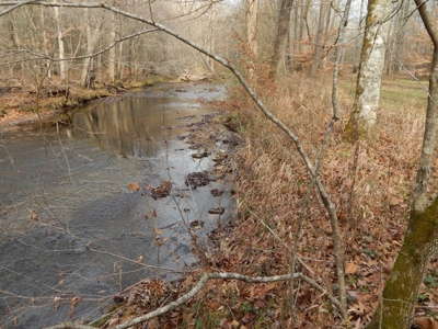 Private 151-Acre Retreat – 40 Lou Johns Ln, Loretto, TN - image 26