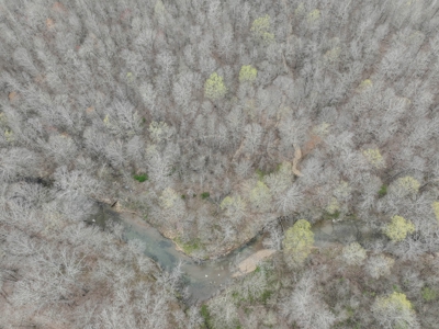 Private 151-Acre Retreat – 40 Lou Johns Ln, Loretto, TN - image 17