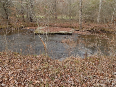 Private 151-Acre Retreat – 40 Lou Johns Ln, Loretto, TN - image 29