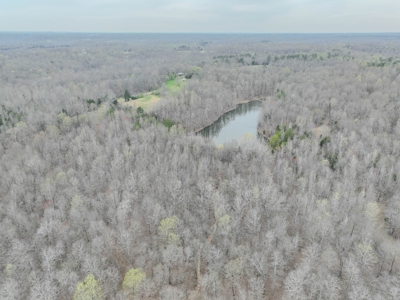 Private 151-Acre Retreat – 40 Lou Johns Ln, Loretto, TN - image 16