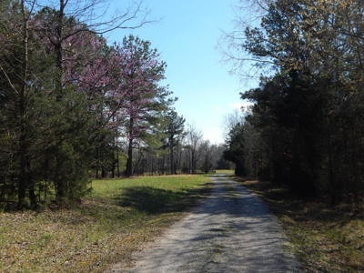 Private 151-Acre Retreat – 40 Lou Johns Ln, Loretto, TN - image 45