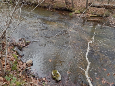 Private 151-Acre Retreat – 40 Lou Johns Ln, Loretto, TN - image 27