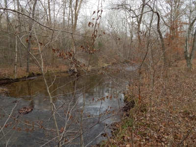 Private 151-Acre Retreat – 40 Lou Johns Ln, Loretto, TN - image 31