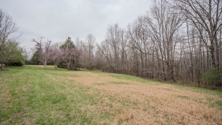 Private 151-Acre Retreat – 40 Lou Johns Ln, Loretto, TN - image 20