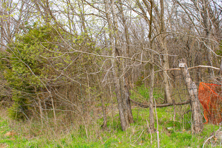 Land For Sale St. Clair County - image 4