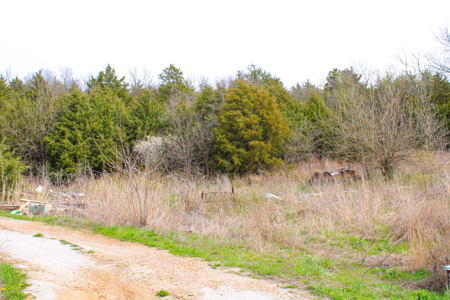 Land For Sale St. Clair County - image 1