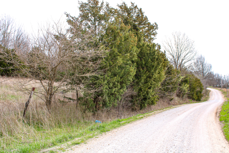 Land For Sale St. Clair County - image 3