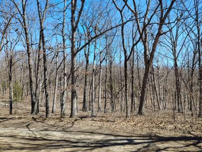 Land For Sale in Dixon MO Maries County - image 2