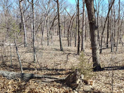 Land For Sale in Dixon MO Maries County - image 4