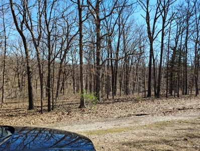 Land For Sale in Dixon MO Maries County - image 3