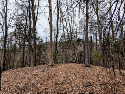 Land for Sale in Shawsville VA - image 3