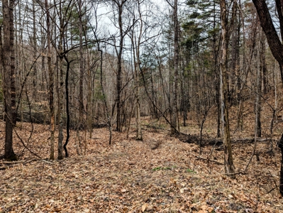 Land for Sale in Shawsville VA - image 8