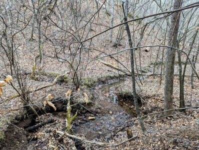 Land for Sale in Shawsville VA - image 7