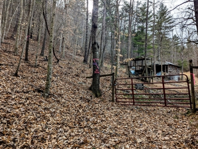 Land for Sale in Shawsville VA - image 5