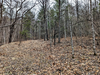 Land for Sale in Shawsville VA - image 4