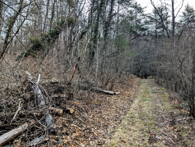 Land for Sale in Shawsville VA - image 11