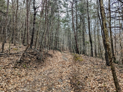 Land for Sale in Shawsville VA - image 12