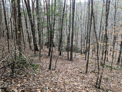 Land for Sale in Shawsville VA - image 2