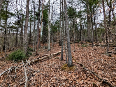 Land for Sale in Shawsville VA - image 1