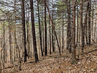 Land for Sale in Shawsville VA - image 9