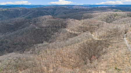 Land for Sale in Tazewell County VA - image 7