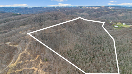 Land for Sale in Tazewell County VA - image 2