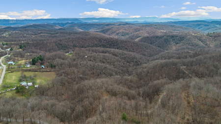 Land for Sale in Tazewell County VA - image 4