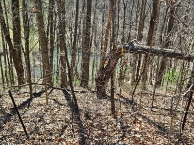 Land for Sale in Tazewell County VA - image 15