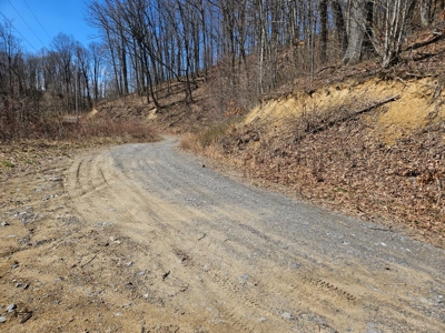 Land for Sale in Tazewell County VA - image 17