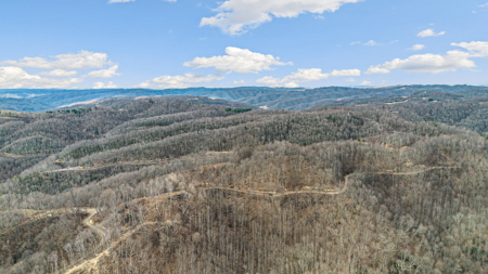 Land for Sale in Tazewell County VA - image 11