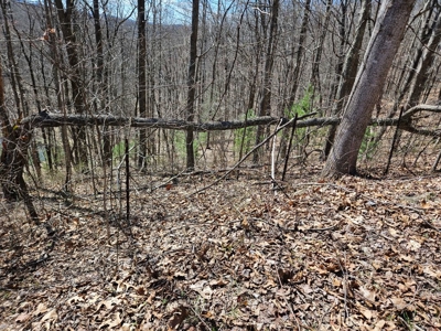 Land for Sale in Tazewell County VA - image 13