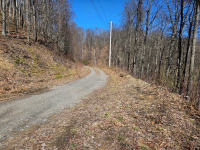 Land for Sale in Tazewell County VA - image 14