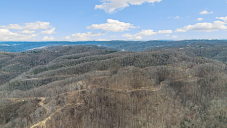 Land for Sale in Tazewell County VA - image 10