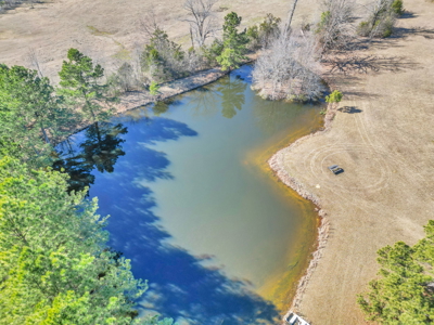 Tyler Texas Hickory Hill Farm For Sale in Smith County in East Texas New Harmony - image 3
