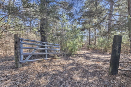 Tyler Texas Hickory Hill Farm For Sale in Smith County in East Texas New Harmony - image 45