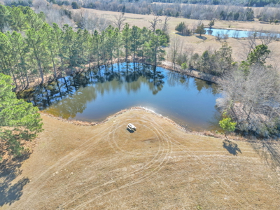 Tyler Texas Hickory Hill Farm For Sale in Smith County in East Texas New Harmony - image 2