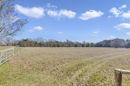 Tyler Texas Hickory Hill Farm For Sale in Smith County in East Texas New Harmony - image 9
