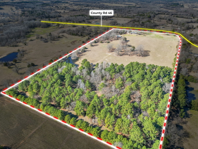 Tyler Texas Hickory Hill Farm For Sale in Smith County in East Texas New Harmony - image 6