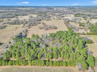 Tyler Texas Hickory Hill Farm For Sale in Smith County in East Texas New Harmony - image 46