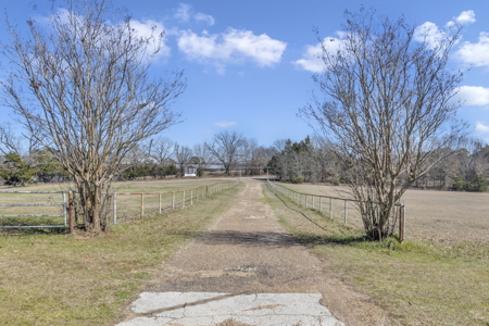 Tyler Texas Hickory Hill Farm For Sale in Smith County in East Texas New Harmony - image 48