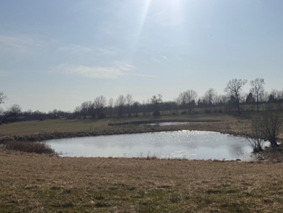 Daviess County MO Acreage For Sale - image 1