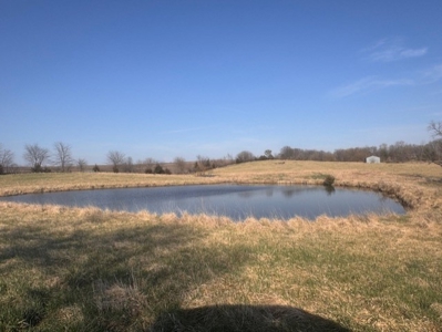 Daviess County MO Acreage For Sale - image 5