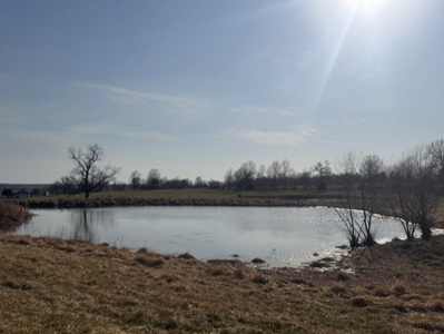 Daviess County MO Acreage For Sale - image 3